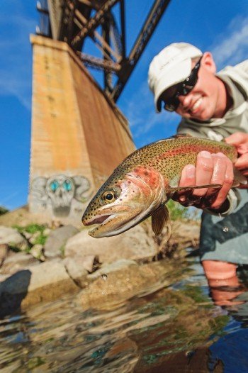 Sean Visintainer holding a redband trout that he caught on his fly line in the Spokane River.