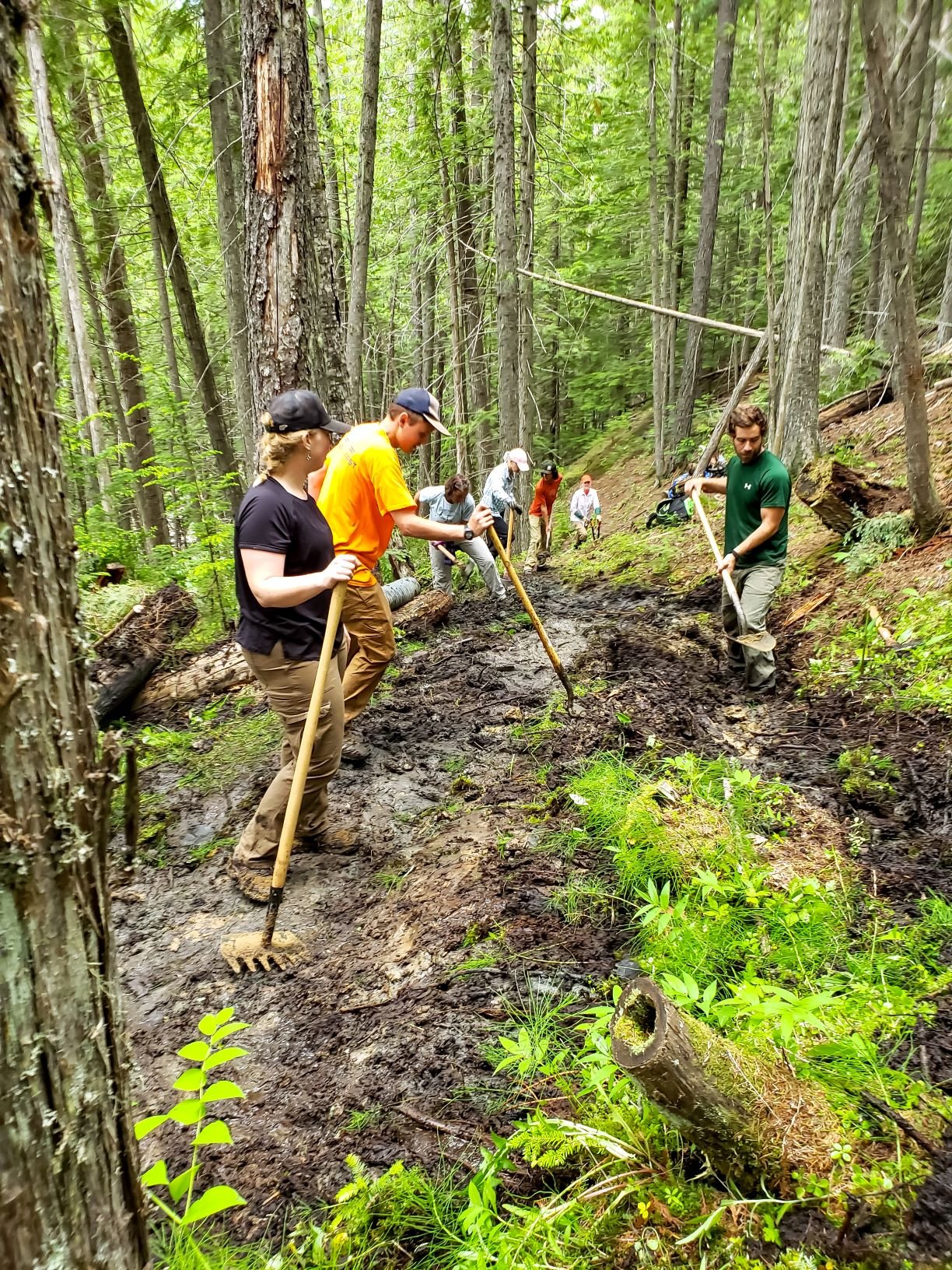 Volunteers, wearing jeans, t-shirts, ball caps, and work gloves, use pulaskis to work on creating hiking trails.