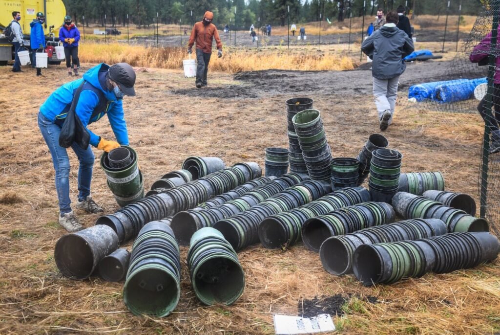 Woman at a tree planting event organizing empty plastic pots.
