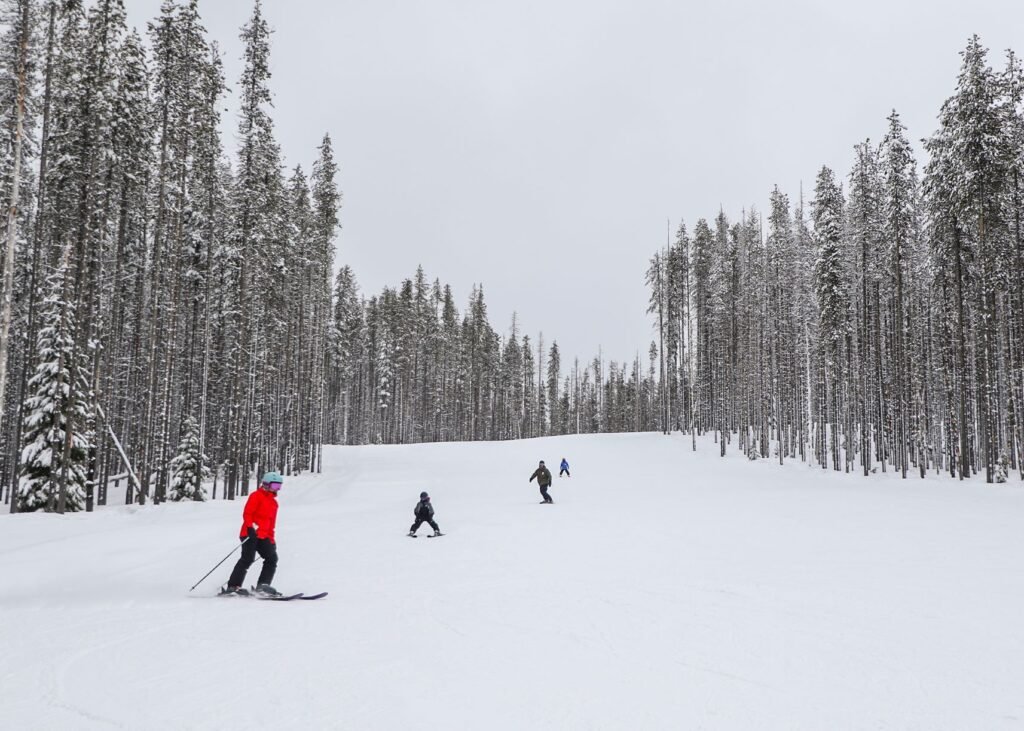 Young skiers going down the beginner run named Tamarack. Wide run with evergreen trees on both sides.