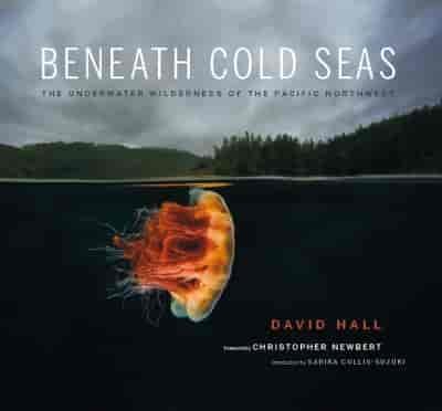 Beneath Cold Seas.