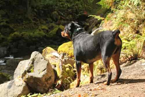 "At Slate Creek" Photo: Karen O'Brien