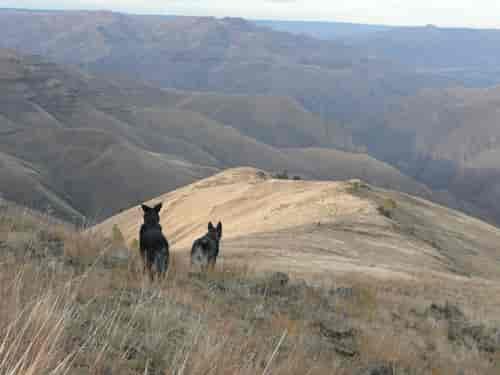 "Wilma Jane and John on Cemetery Ridge, Hells Canyon" Photo: Julie Oeinick