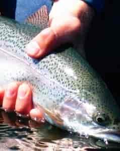 I prefer to stay on the right side of the fishing gods.