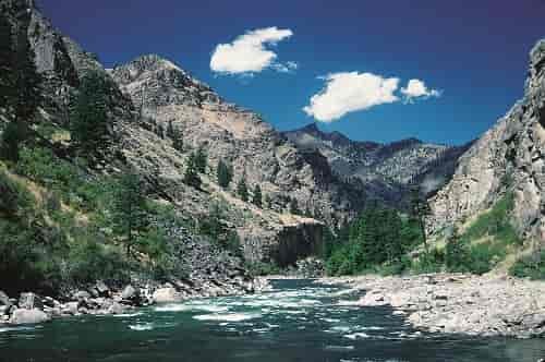 Middle Fork, Salmon River. Photo: Peter G. Williams