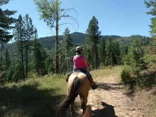 Moose Ridge trail ride. Photo: Sherry Mundt