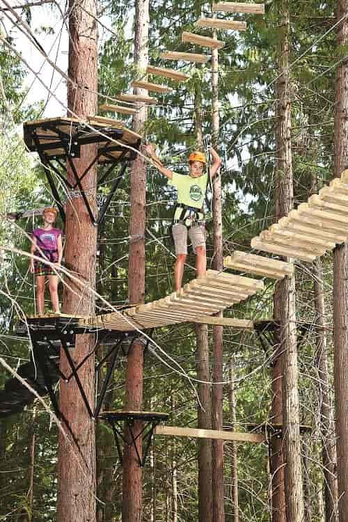 Aerial Park at the Fernie Alpine Resort. Photo courtesy of Tourism Fernie