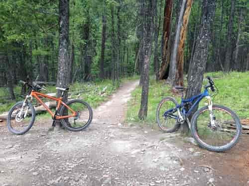 "You can tell whoever made these trails knew they were making happiness. You'll want to ride all day, then ride some more." Photo: Ammi Midstokke