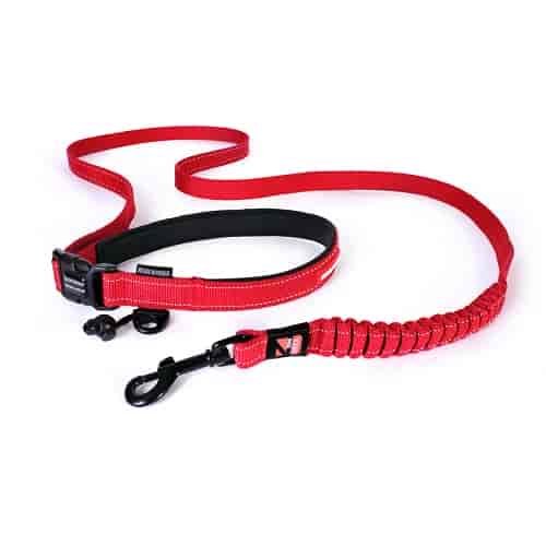 The EzyDog Road Runner in red. Photo courtesy EzyDog