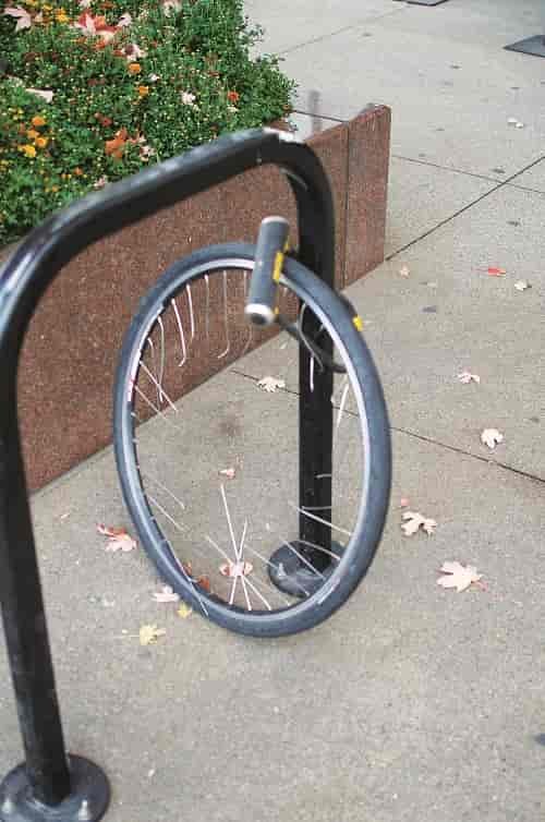 A determined thief will do whatever it takes. Photo: Hank Greer