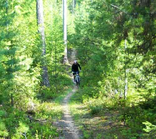 Saddle up and pack the beef jerky. The riding around Priest Lake can be wild, rugged and beautiful. Photo courtesy of Brad Naccarato