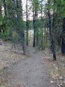 untitled (2 of 21)_web