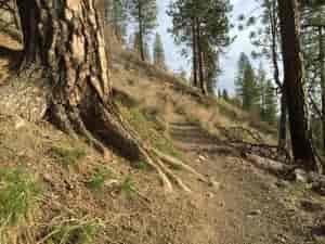 The trails are beautiful this time of year!