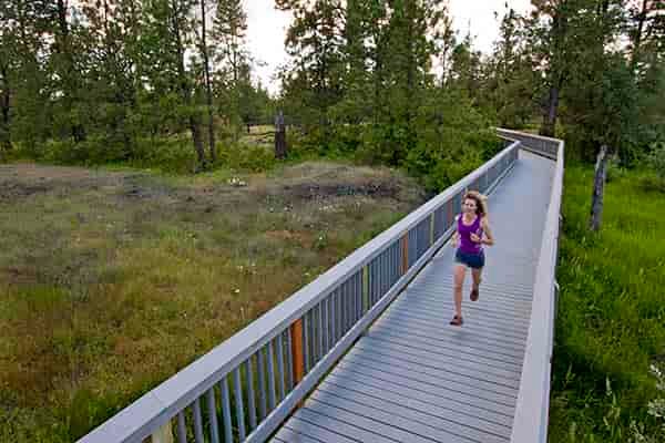 Photo of jogger running across bridge in Turnbull.