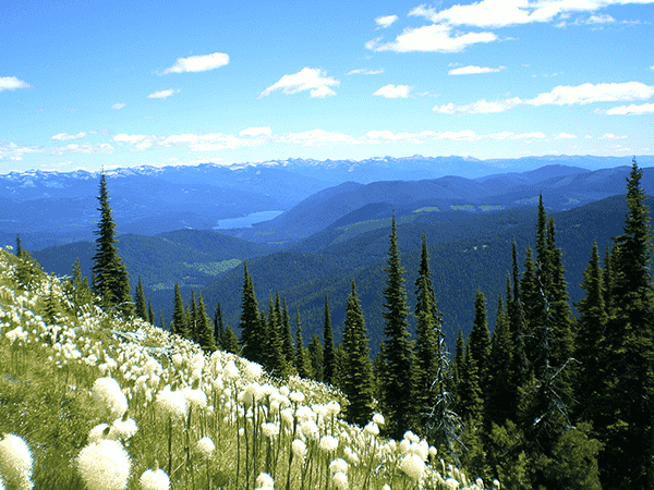 Photo of Priest Lake from Thunder Mountain by Holly Weiler.