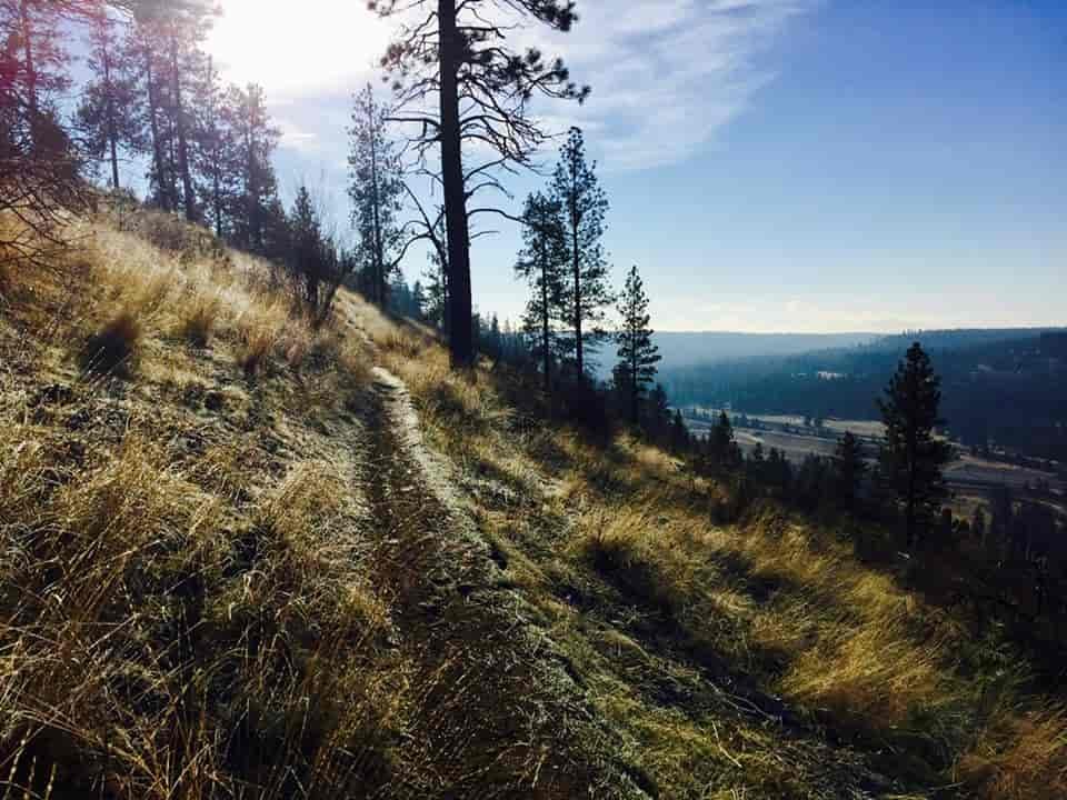 Frost on the Bluff makes for a "sparkle season" on the trails (Photo: Marit Fischer)