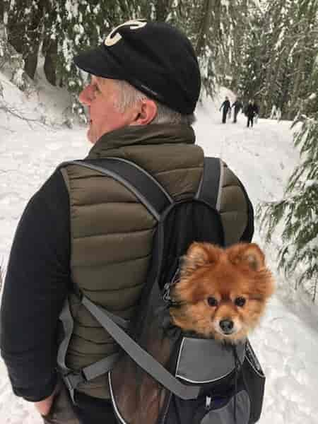 Photo of Glen Copus hiking with his dog Phoebe in a backpack pack.