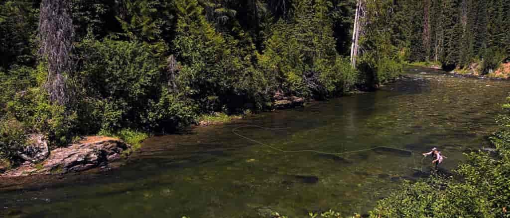 Photo of angler along shorel.