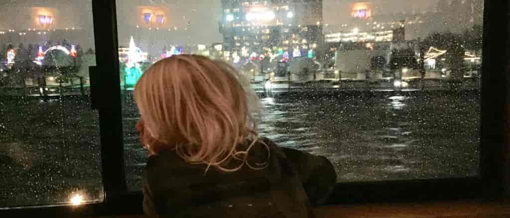 Photo of kid taken from behind looking out window at fireworks.