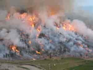 Wildfires