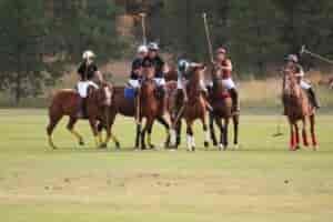 Polo players riding brown horses, wearing helmets, and carrying polo sticks.