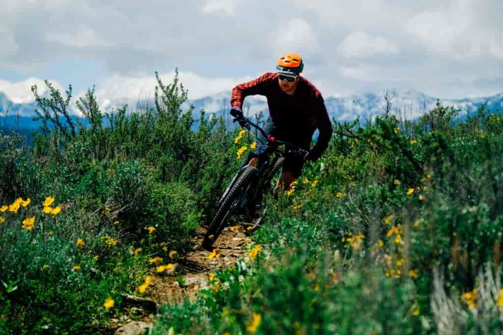 Mountain biker rounding a corner on a singltrack trail alongside wildflowers with the snowy peaks of the North Cascade mountains in the far distance.