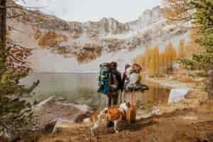 Couple wearing backpacks and holding hands alongside an alpine lake, with their dog, ready to get married.
