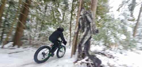 Mountain biker, with a fat tire bike, rides quickly along the snow-covered trail and among trees at Pine Street Woods recreation and natural area.