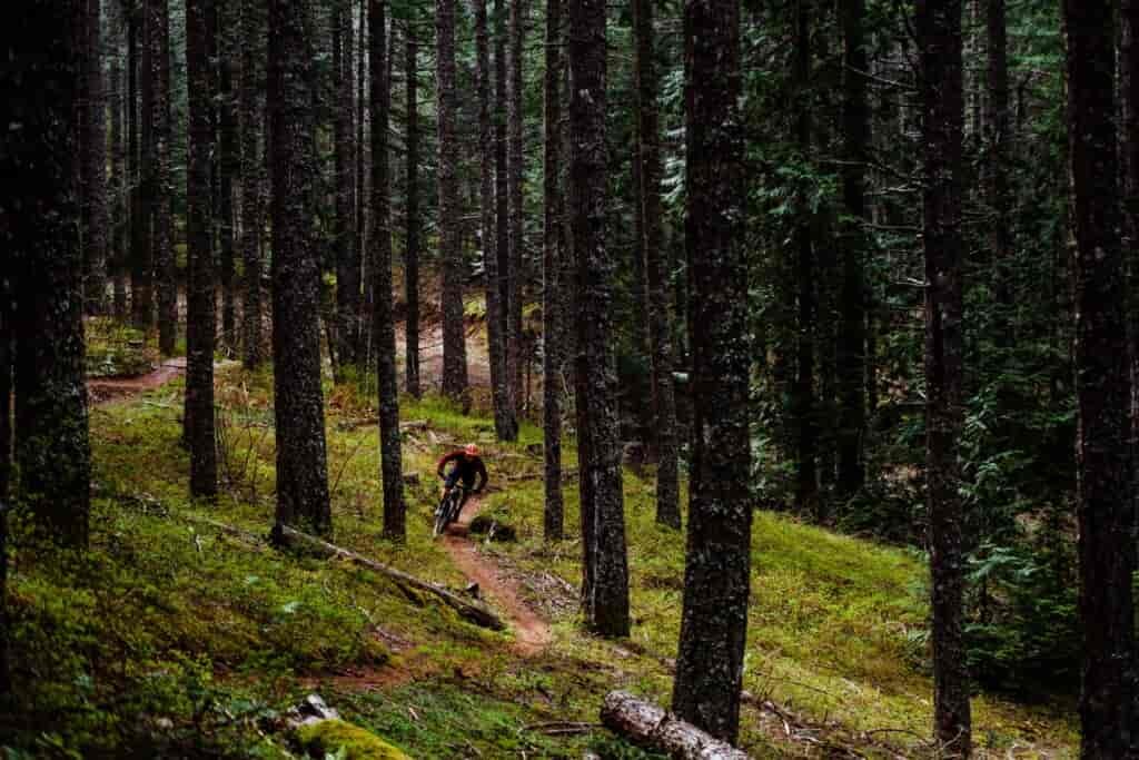 Mountain biker navigating a forested singletrack downhill trail segment in Post Canyon, in Hood River, Oregon..