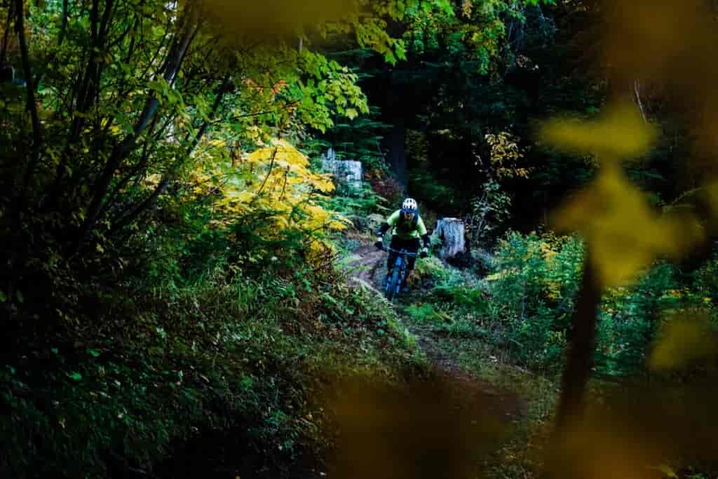 Mountain biker navigating singletrack at Schweitzer Basin trails in Sandpoint, Idaho.